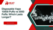 Disposable Vape 10000 Puffs