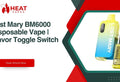 Lost Mary BM6000 Disposable Vape