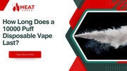 Disposable Vape 10000 Puffs